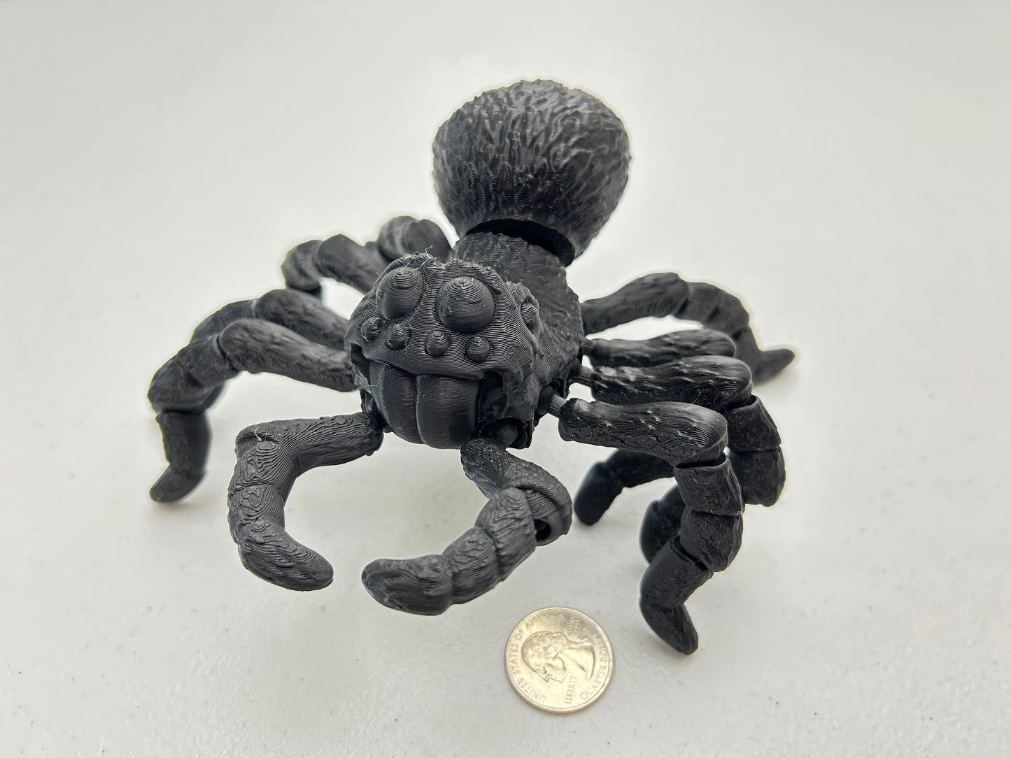 Tarantula