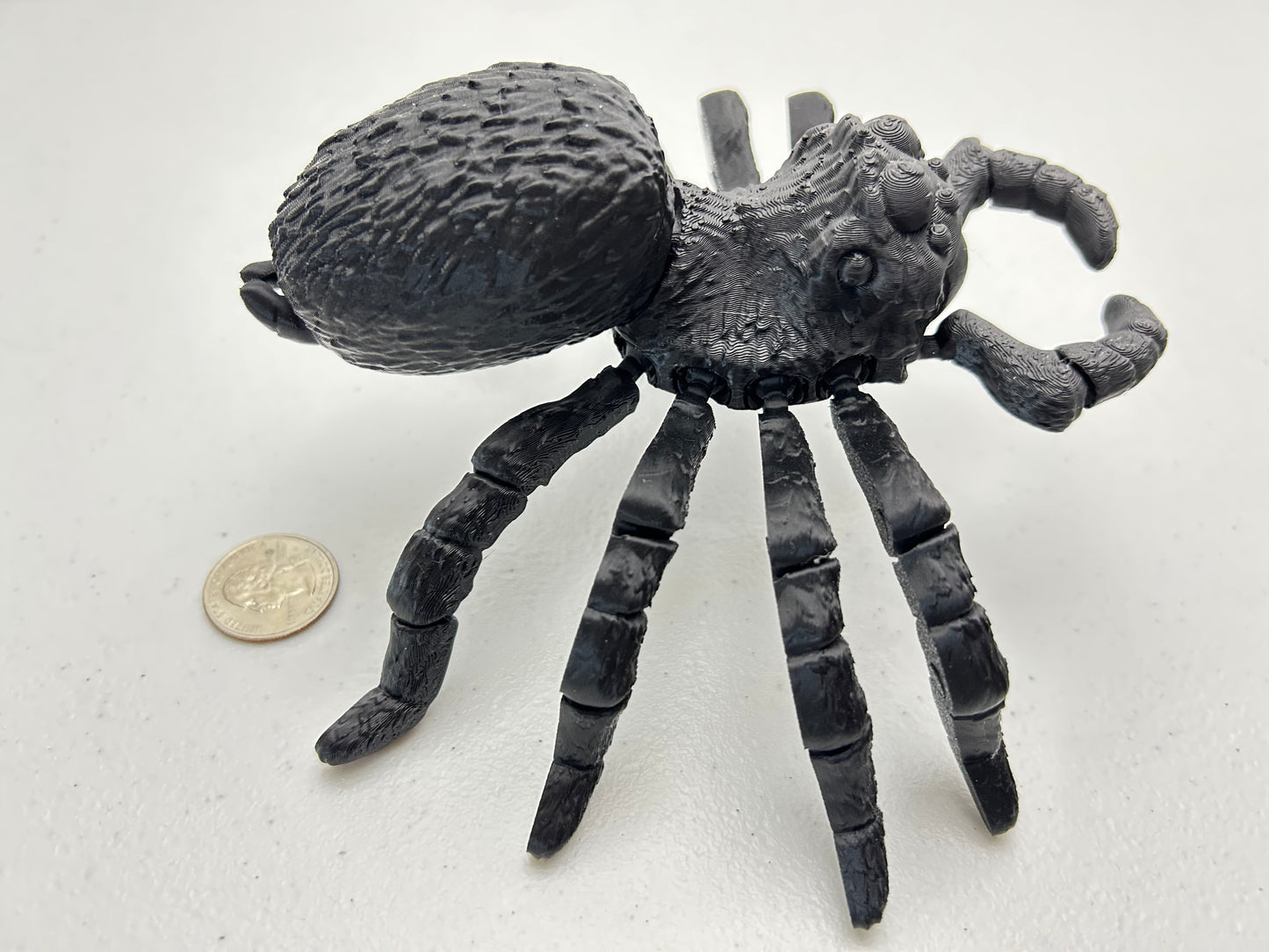 Tarantula