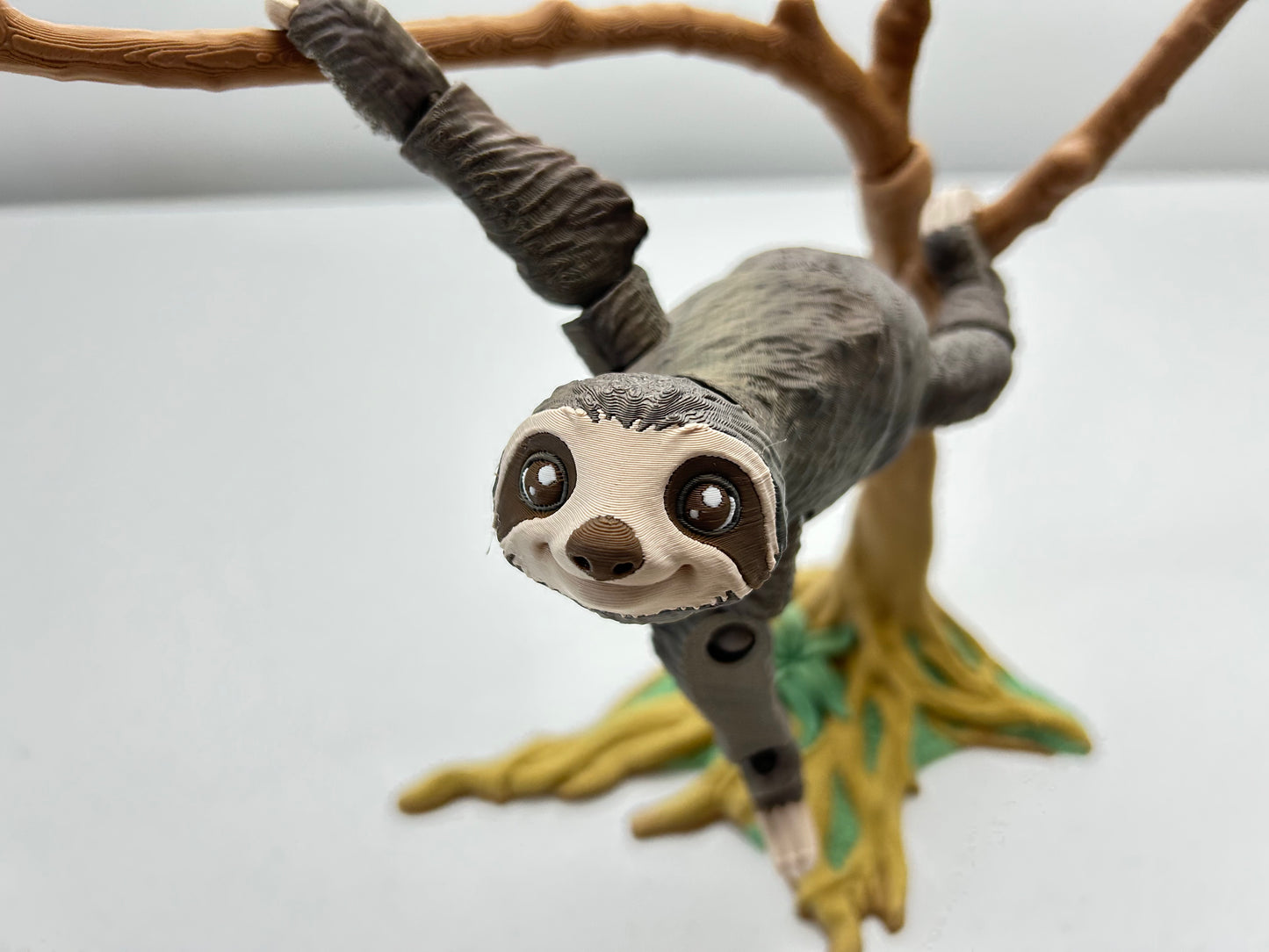 Sloth