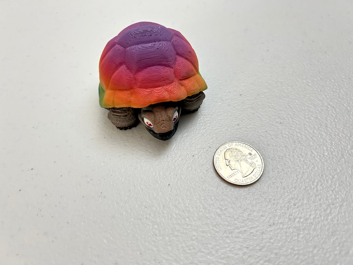 Tortoise