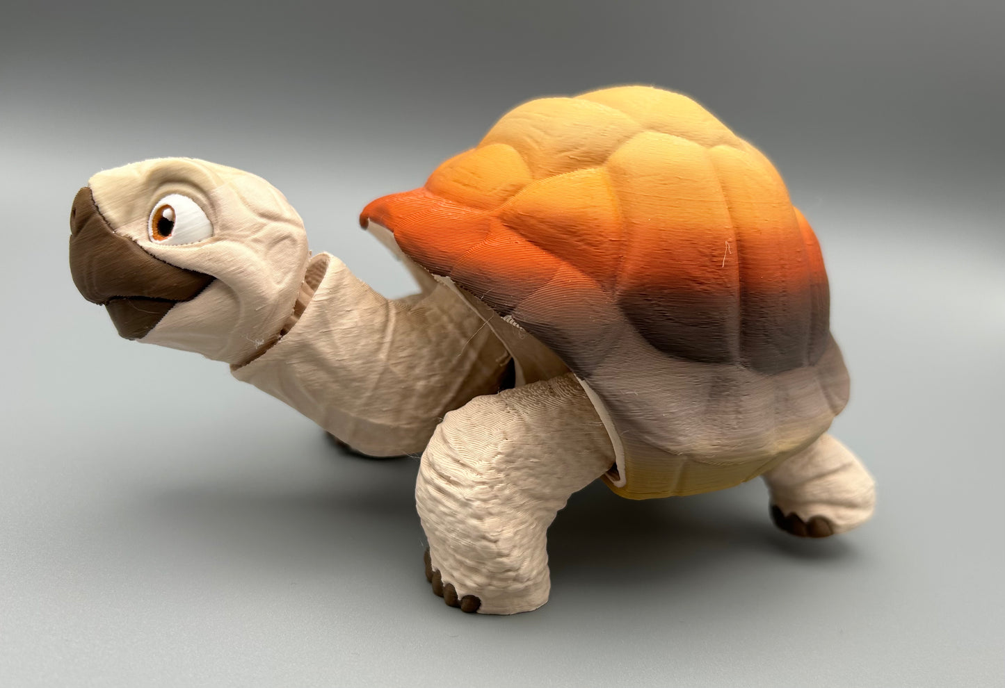Tortoise
