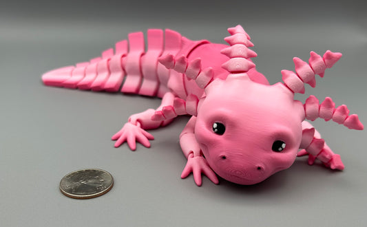 Axolotl