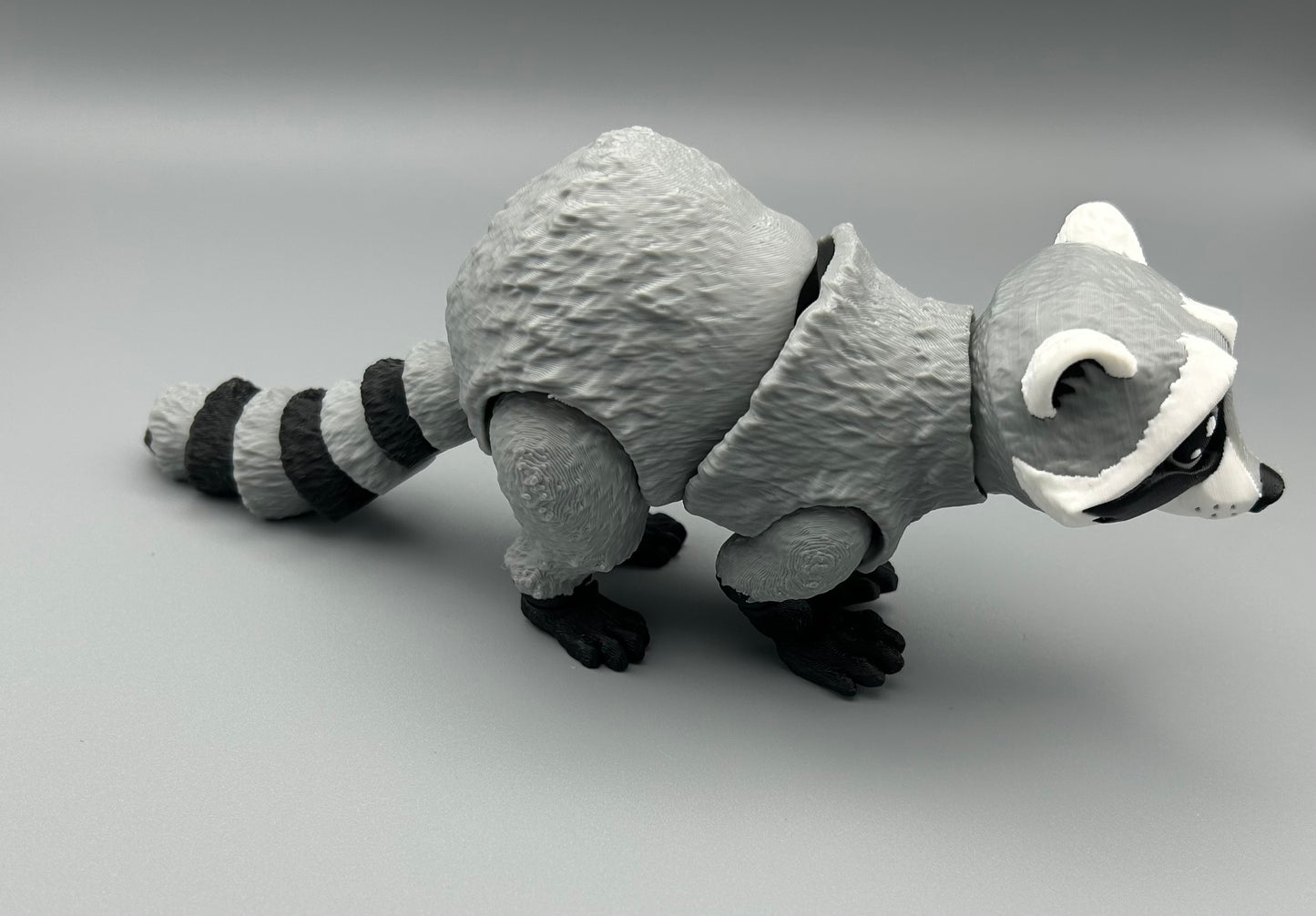 Raccoon