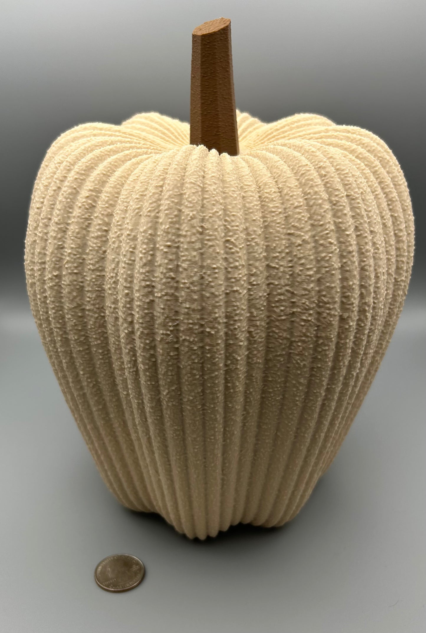 Pumpkin Set