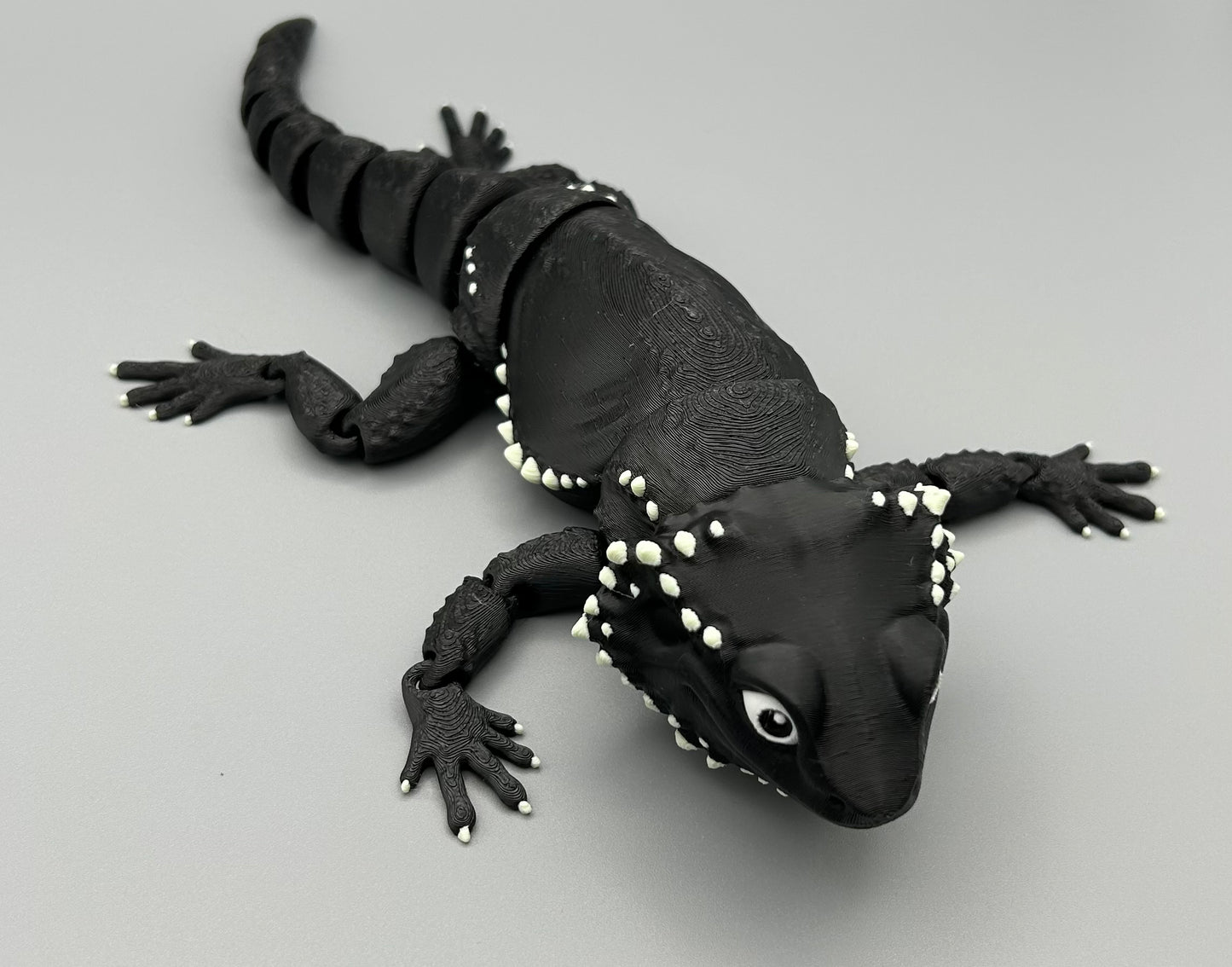 Bearded Dragon Lizard