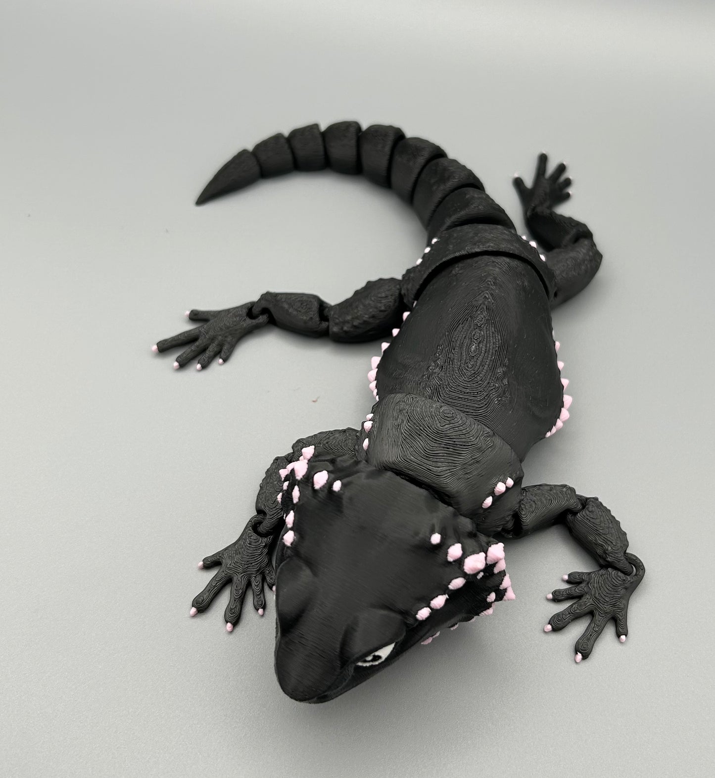 Bearded Dragon Lizard