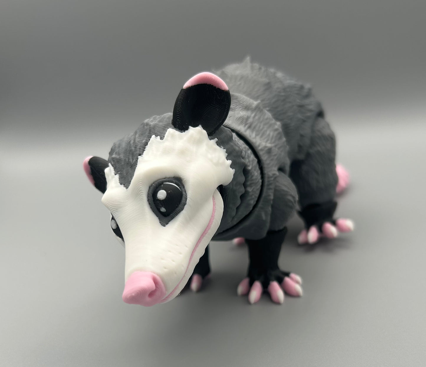Opossum