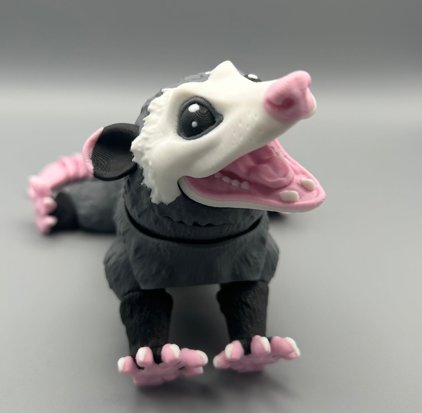 Opossum