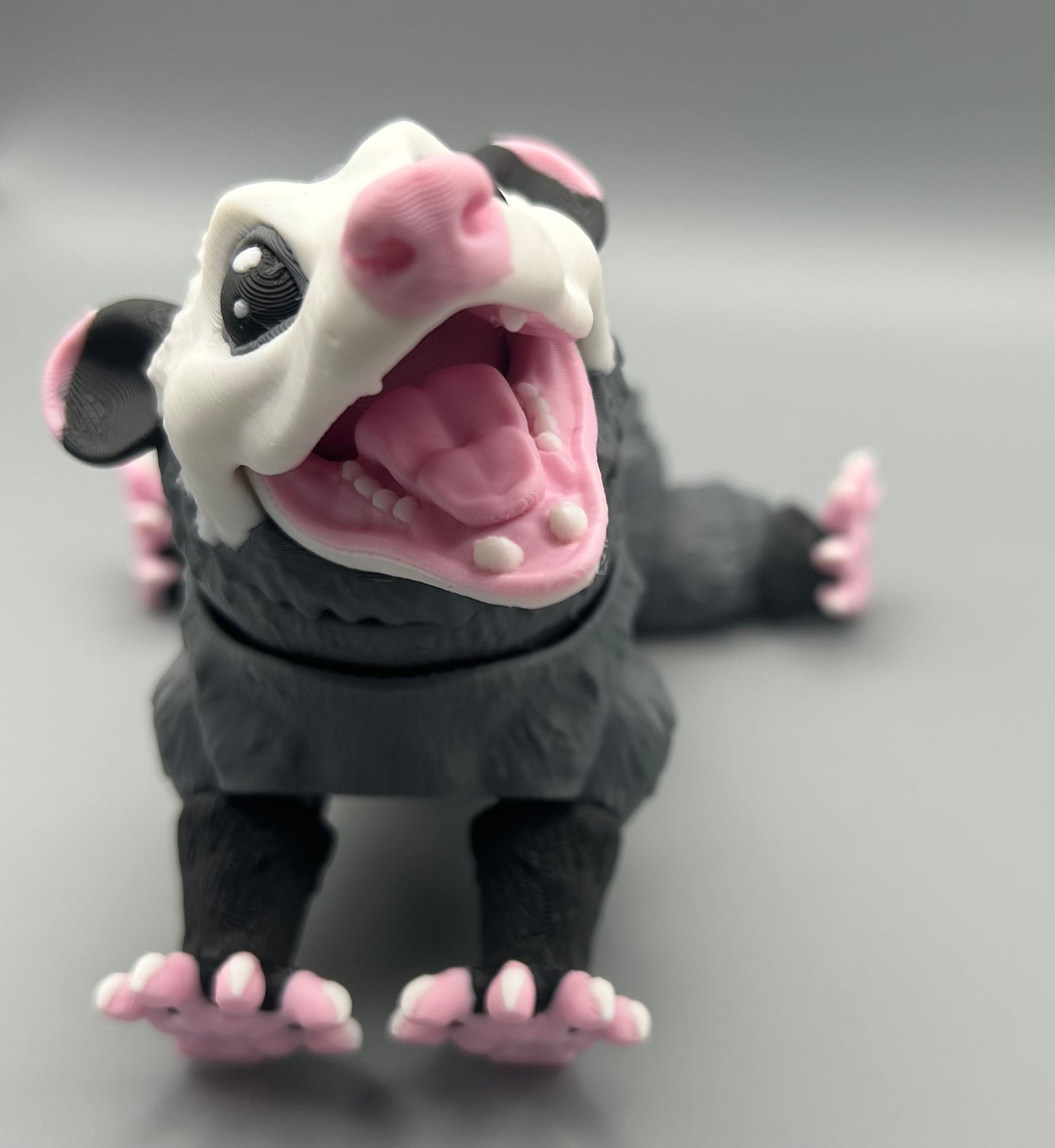 Opossum