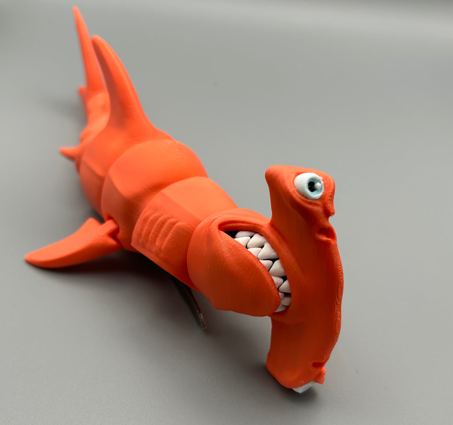 Hammer Head Shark