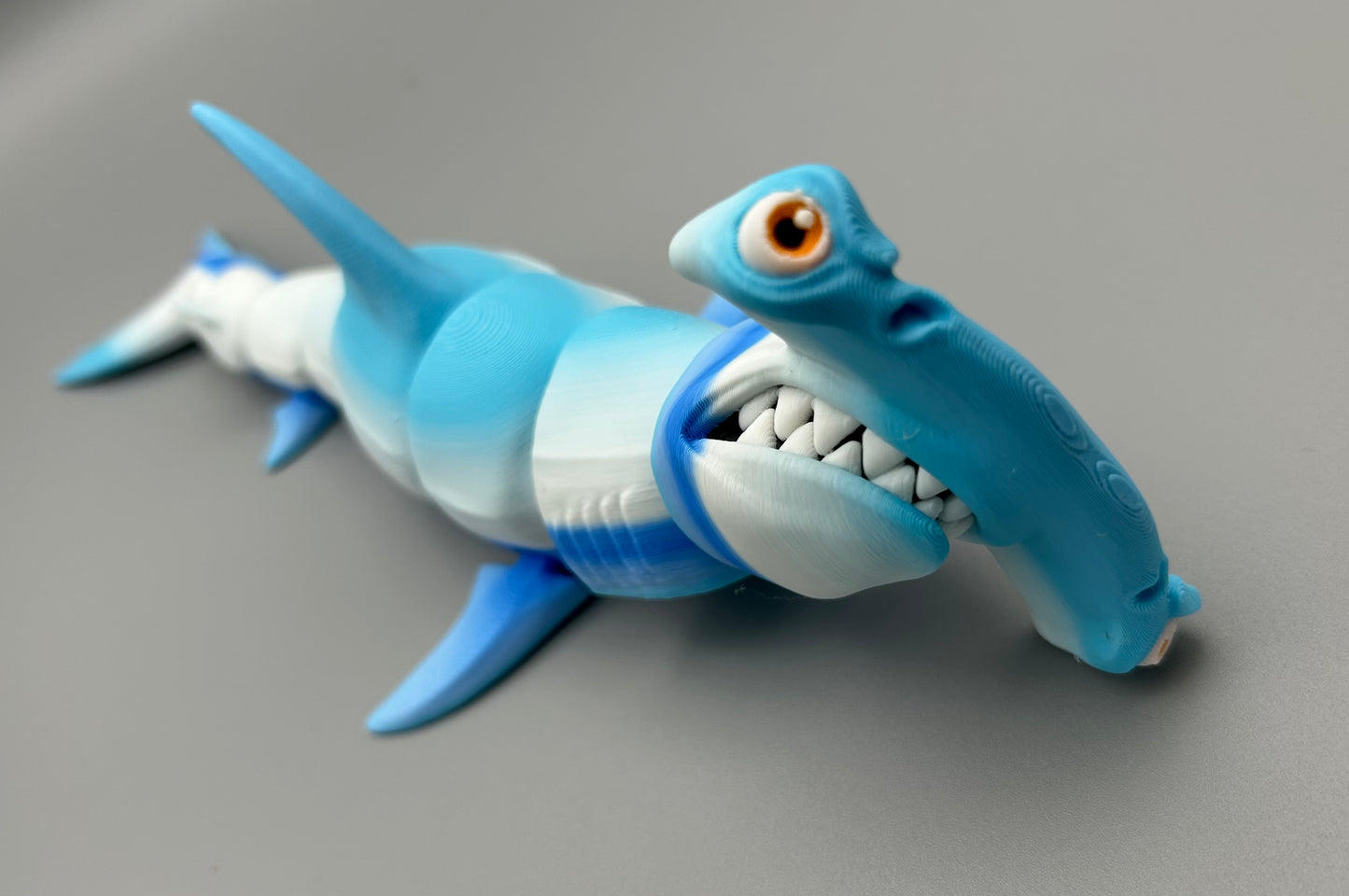 Hammer Head Shark