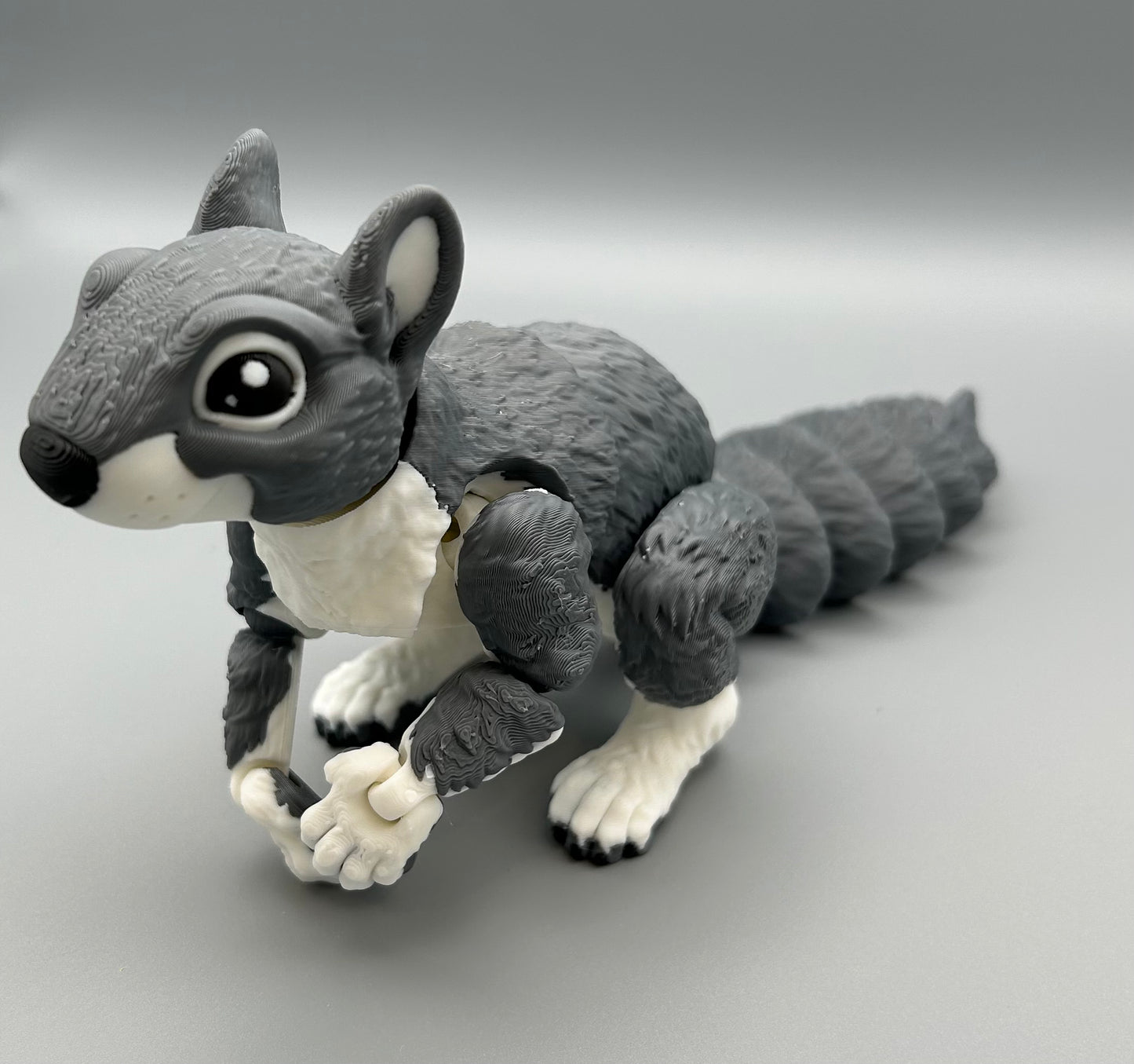 Squirrel