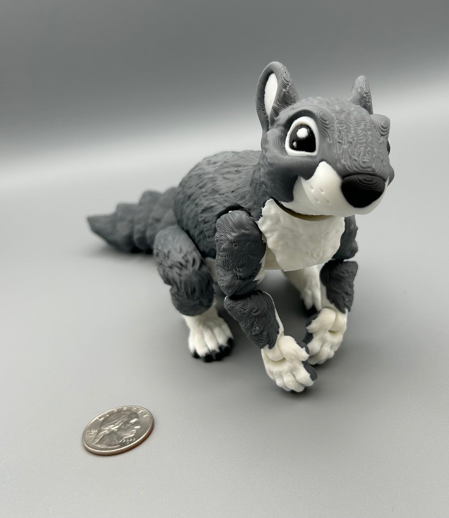Squirrel