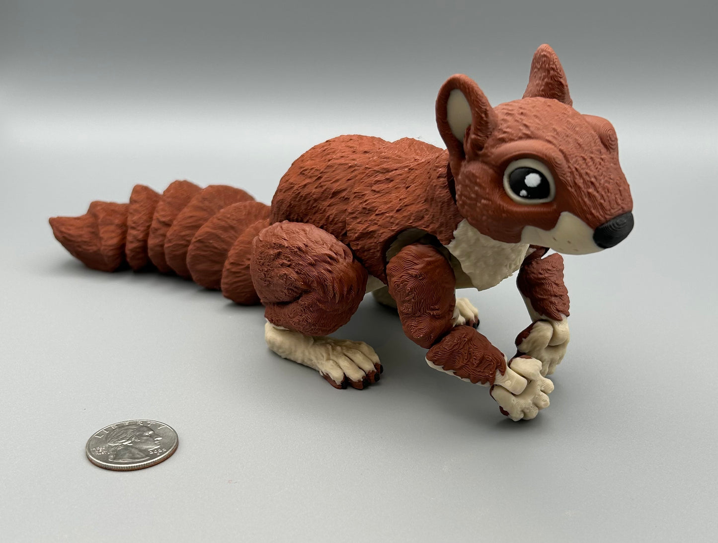 Squirrel