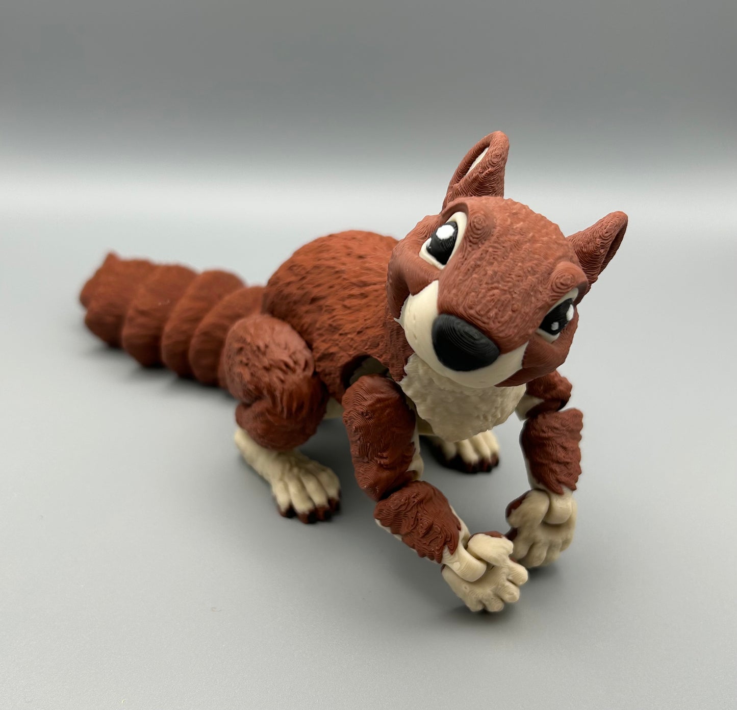 Squirrel