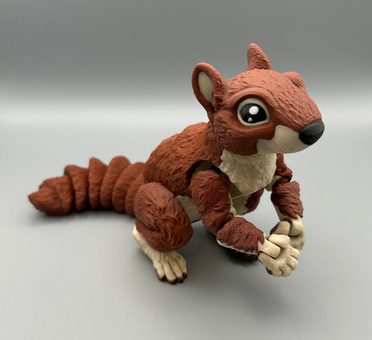 Squirrel