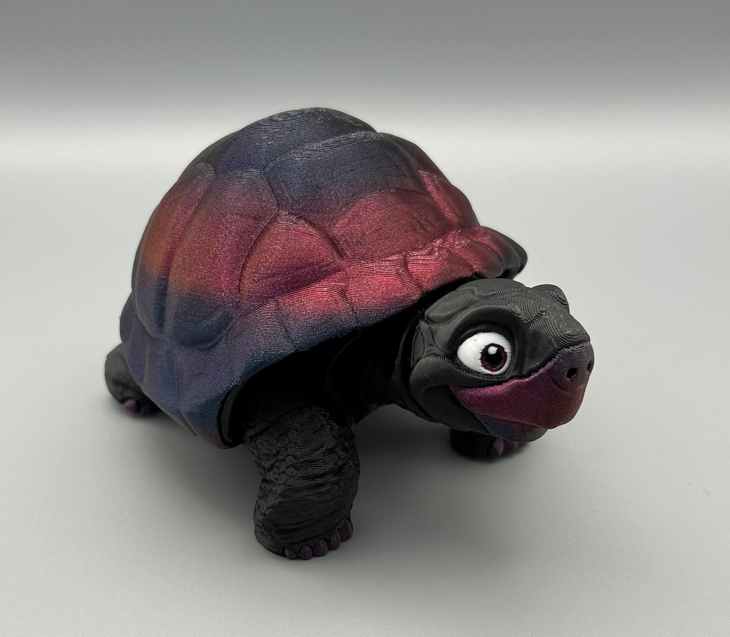 Tortoise
