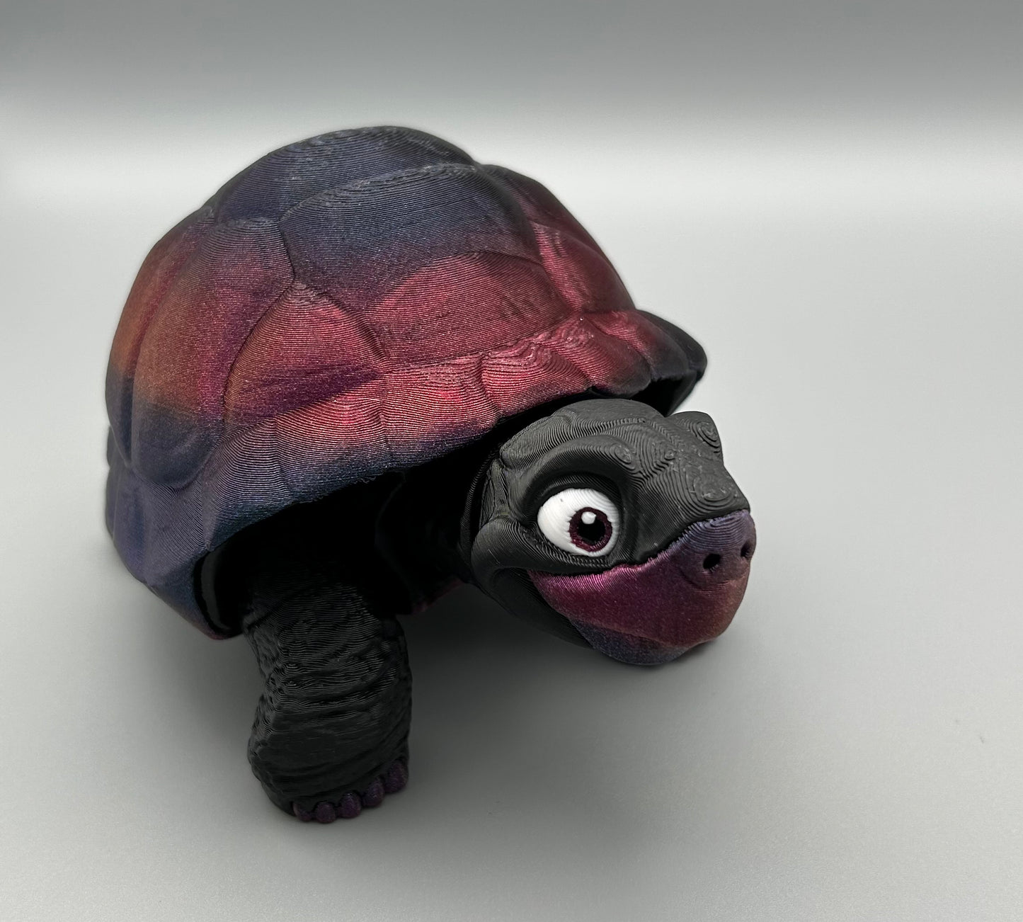 Tortoise