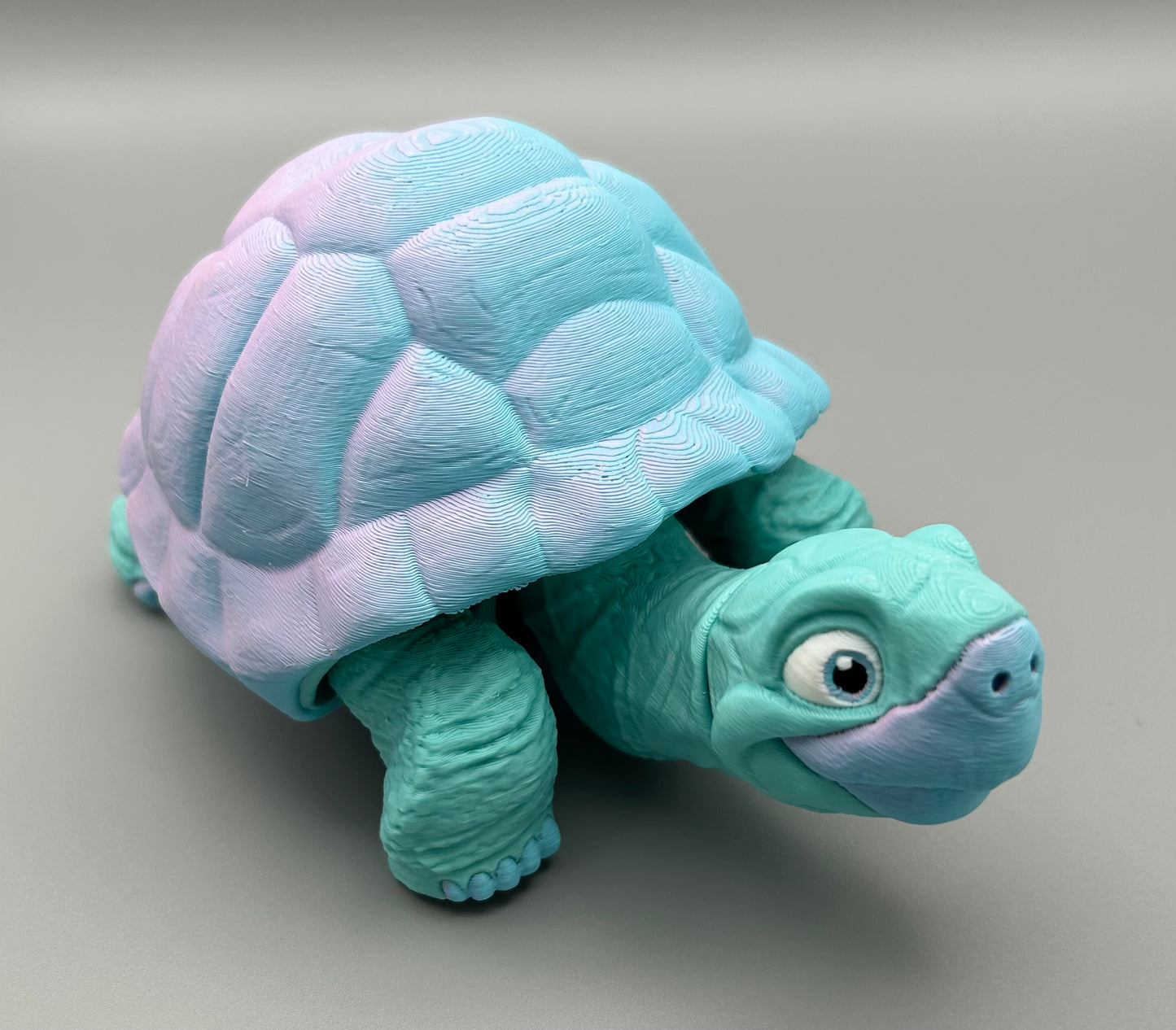 Tortoise
