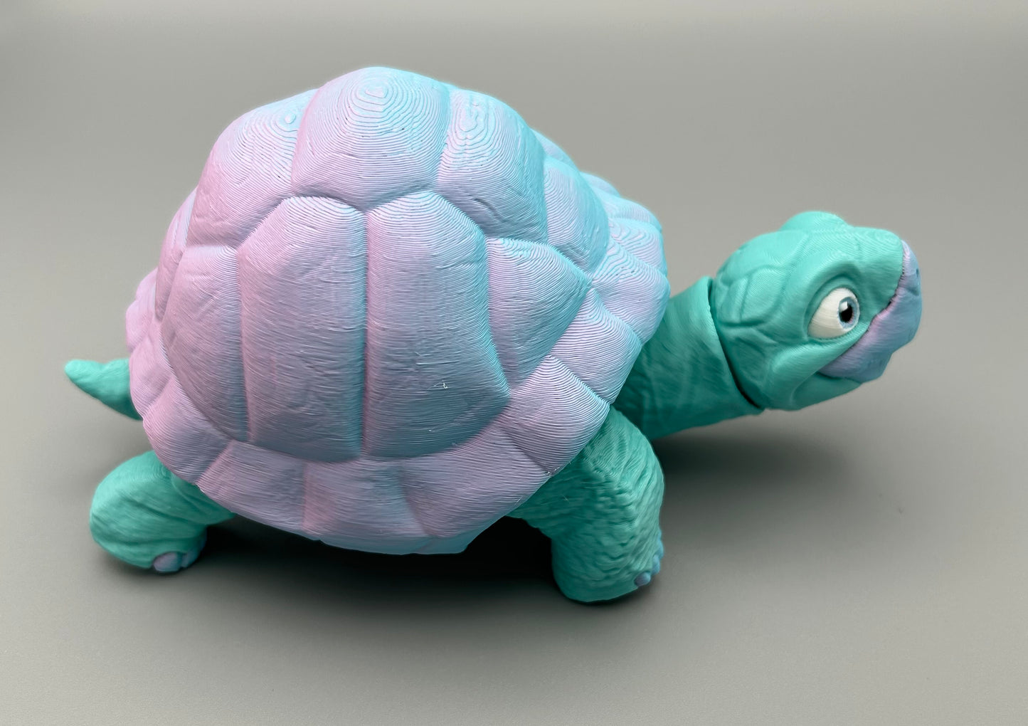 Tortoise