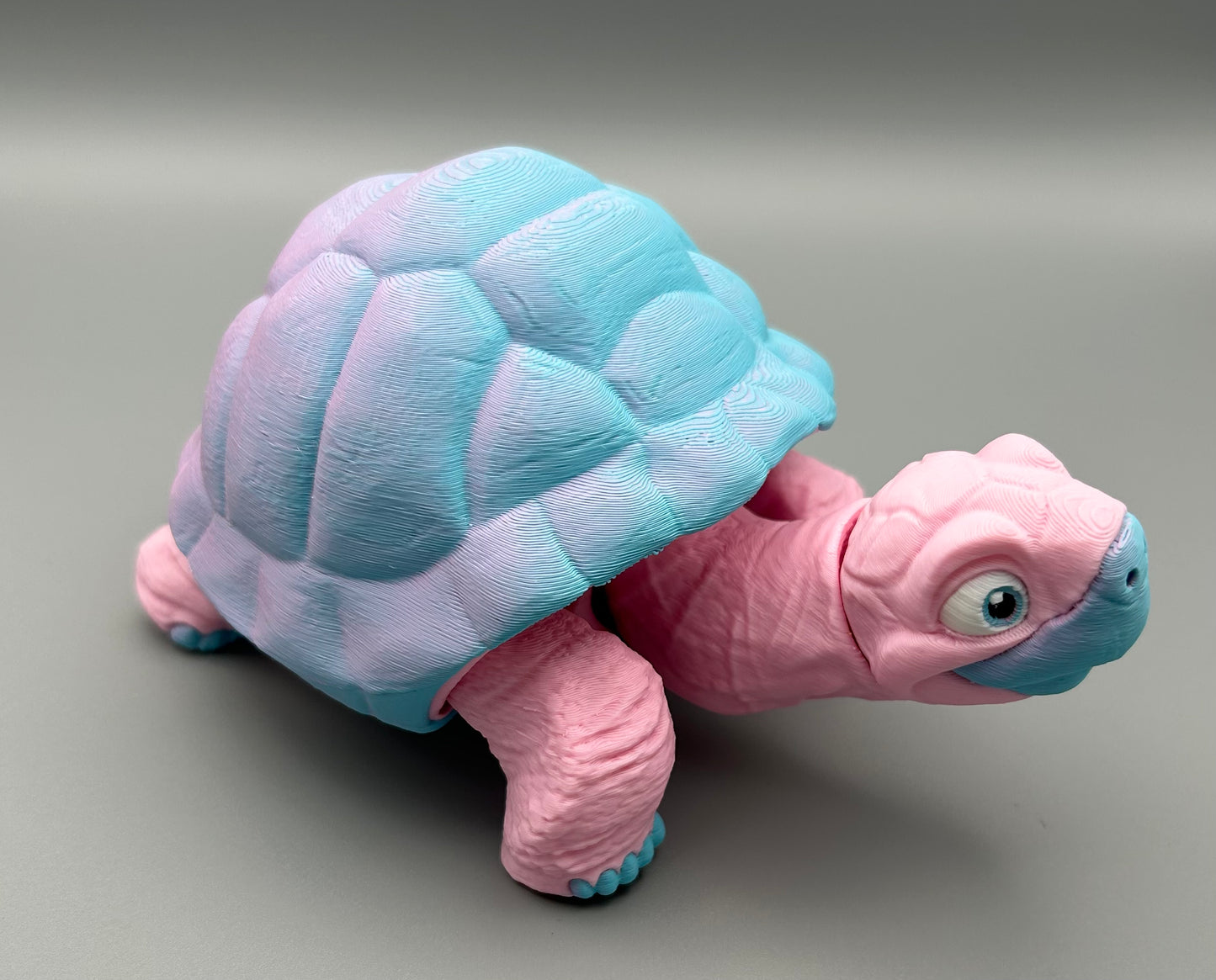 Tortoise