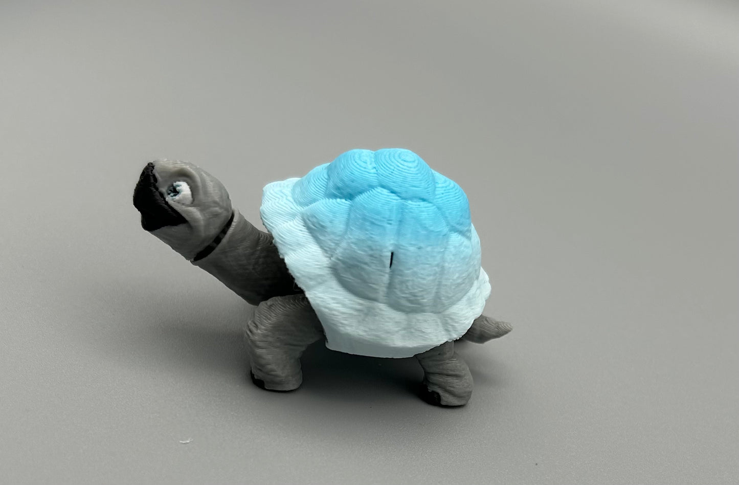 Tortoise